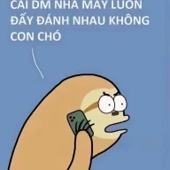 Mày Nhìn Cái Chó Gì